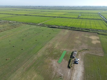 Le terrain de vol au milieu des rizières