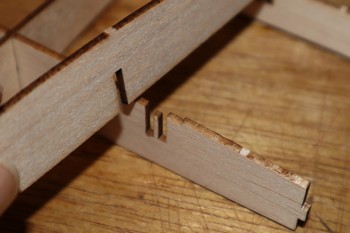 Fentes dans les longerons et les nervures