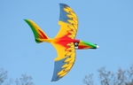 Flying Cloud - Wegner Flugmodelle