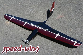 Speed-Wing Racer aile volante 