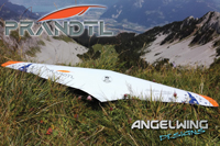 Prandtl - AngelWing Designs