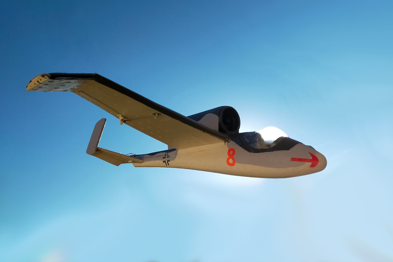 Salidlmander au soleil