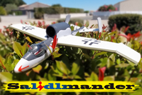 Planeur Lidl converti en Heinkel 162 Salamander