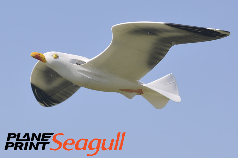 Seagull - Plane Print