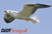 Seagull PlanePrint - goéland imprimé en 3D