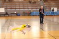 veliz_indoor_066