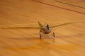 veliz_indoor_080