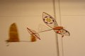 veliz_indoor_087