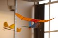 veliz_indoor_093