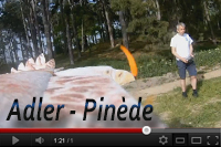 Vidéo Adler dans la pinède