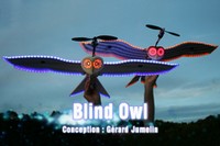 Blind Owl, une chouette illuminée